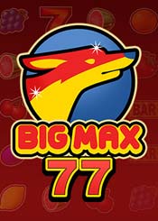 Big Max 77