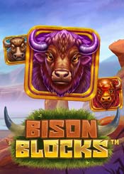 Bison Blocks