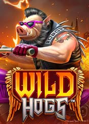 Wild Hogs