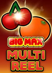Big Max Multi Reel 
