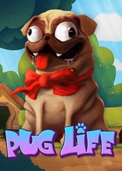 Pug Life