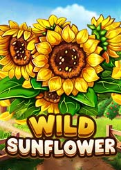 Wild Sunflower